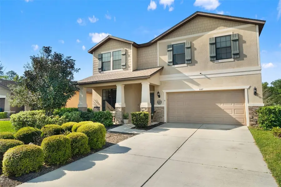 647 Alpine Thistle Drive, Brooksville, FL 34604 - #3