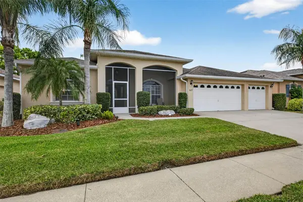 3819 Salida Delsol Drive, RUSKIN, FL 33573