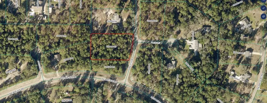 8650 W 211 Circle, Dunnellon, FL 34432 - #2