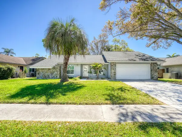 2988 Pinewood Run, PALM HARBOR, FL 34684