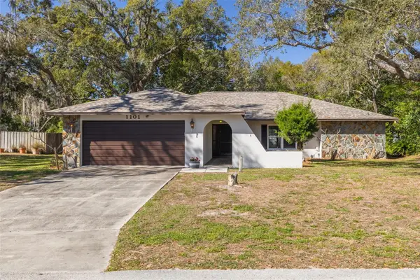 1101 Dagmar Avenue, SPRING HILL, FL 34606