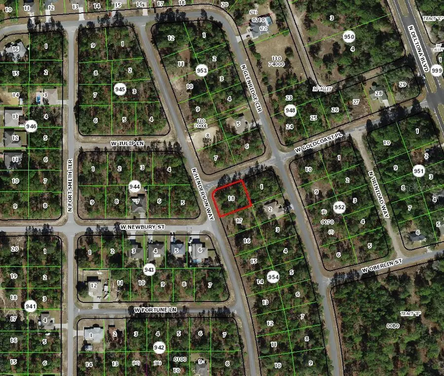 7101 N Henderson Way, Dunnellon, FL 34434 - #3