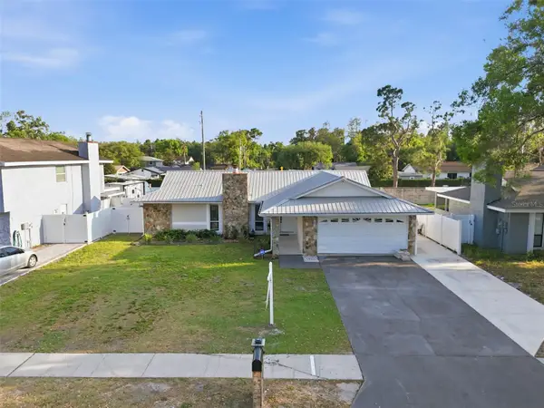 5520 Fulmar Drive, TAMPA, FL 33625