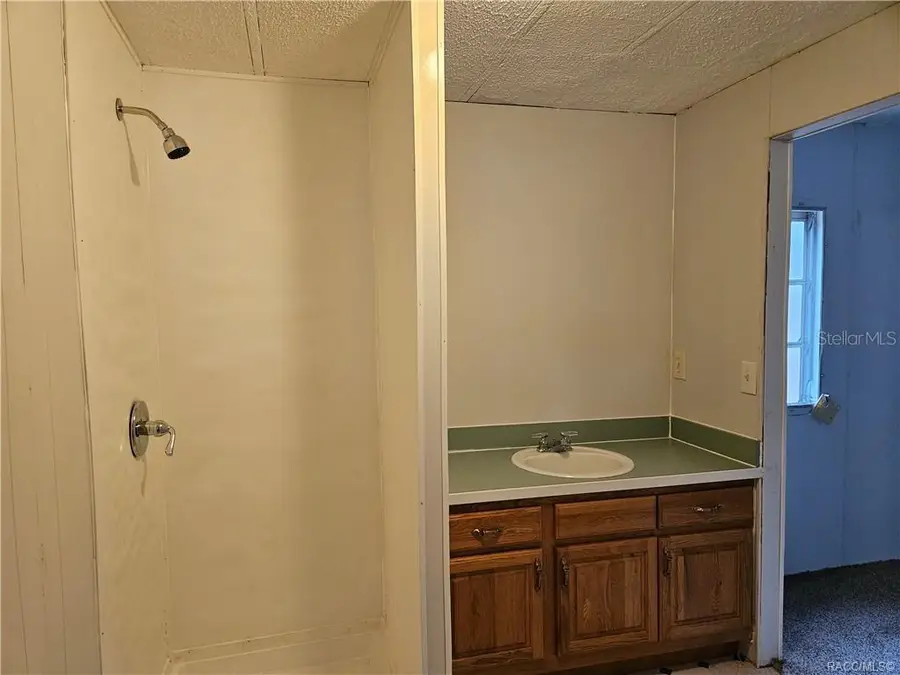 89 S Scarboro Avenue, Lecanto, FL 34461 - #3