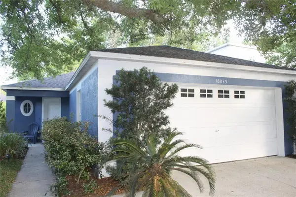 18035 Birdwater Drive, TAMPA, FL 33647