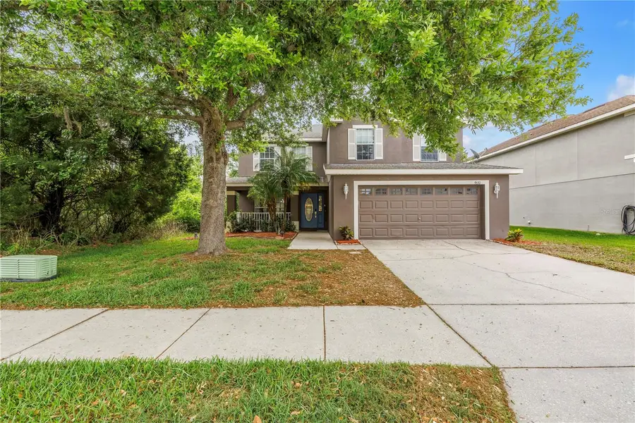 9630 Nathaniel Lane, Land O Lakes, FL 34638 - #2