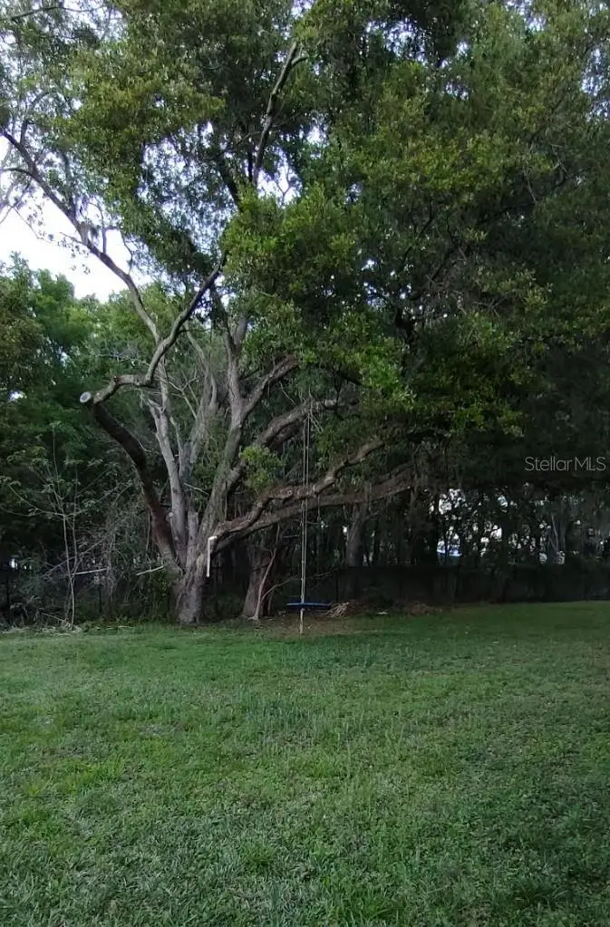 206 Ronja Lane, Valrico, FL 33594 - #3