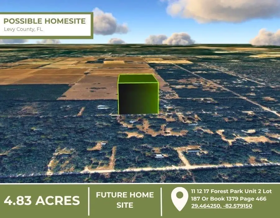 NE 88th Street, Bronson, FL 32621 - #2