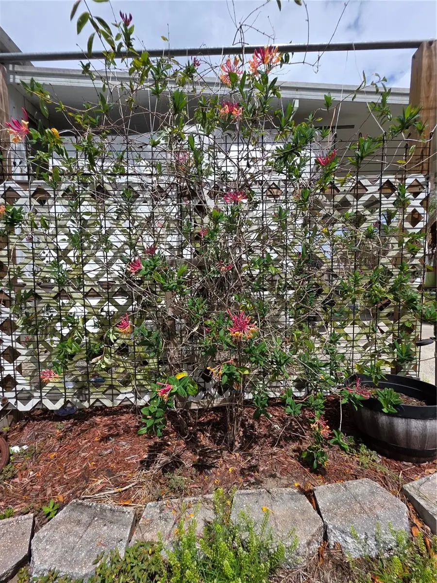 4180 Palm Drive, Bartow, FL 33830 - #2