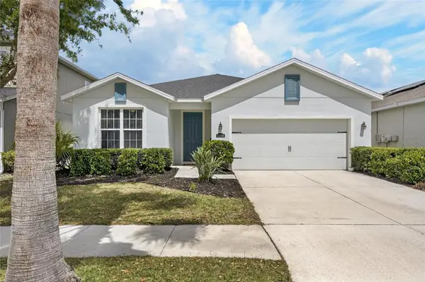 11113 Spring Point Circle, RIVERVIEW, FL 33579