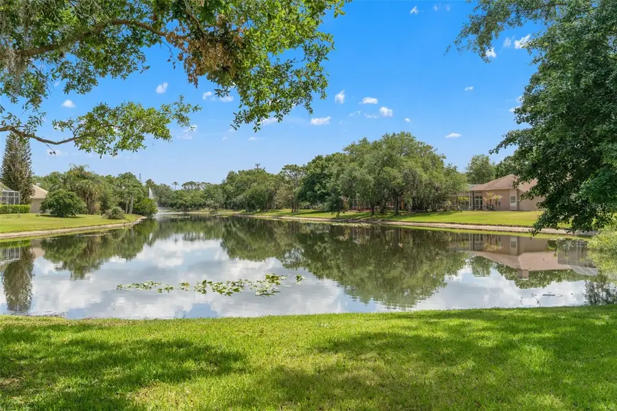 5021 Wesley Drive, Tampa, FL 33647 - #3