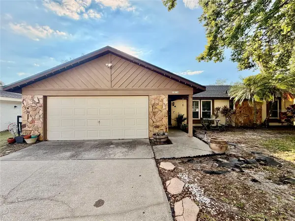 15116 Trail Creek Place, TAMPA, FL 33625