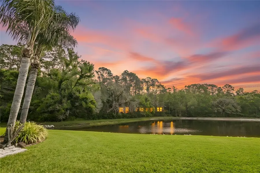 13010 Royal George Avenue, Odessa, FL 33556 - #2