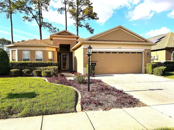 11636 Spindrift Loop, HUDSON, FL 34667