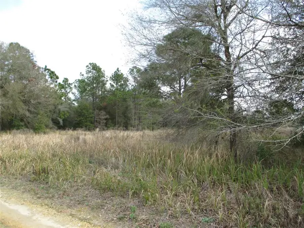 SW 24th, OCALA, FL 34481