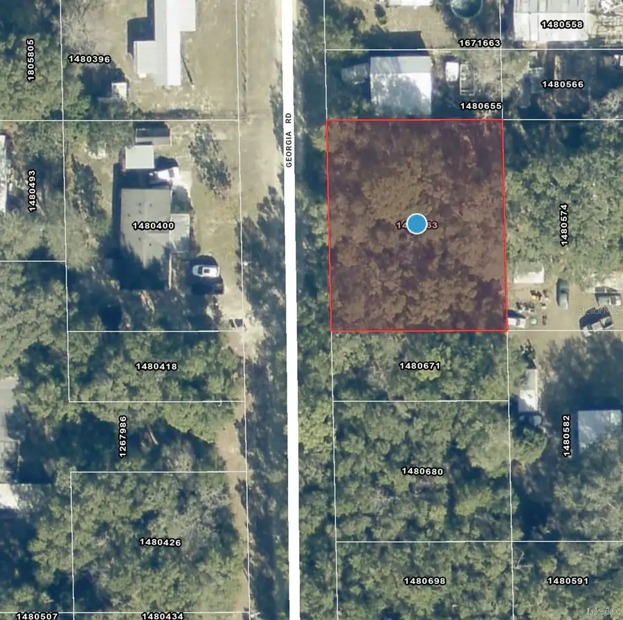 000 Georgia Road, Altoona, FL 32702 - #2