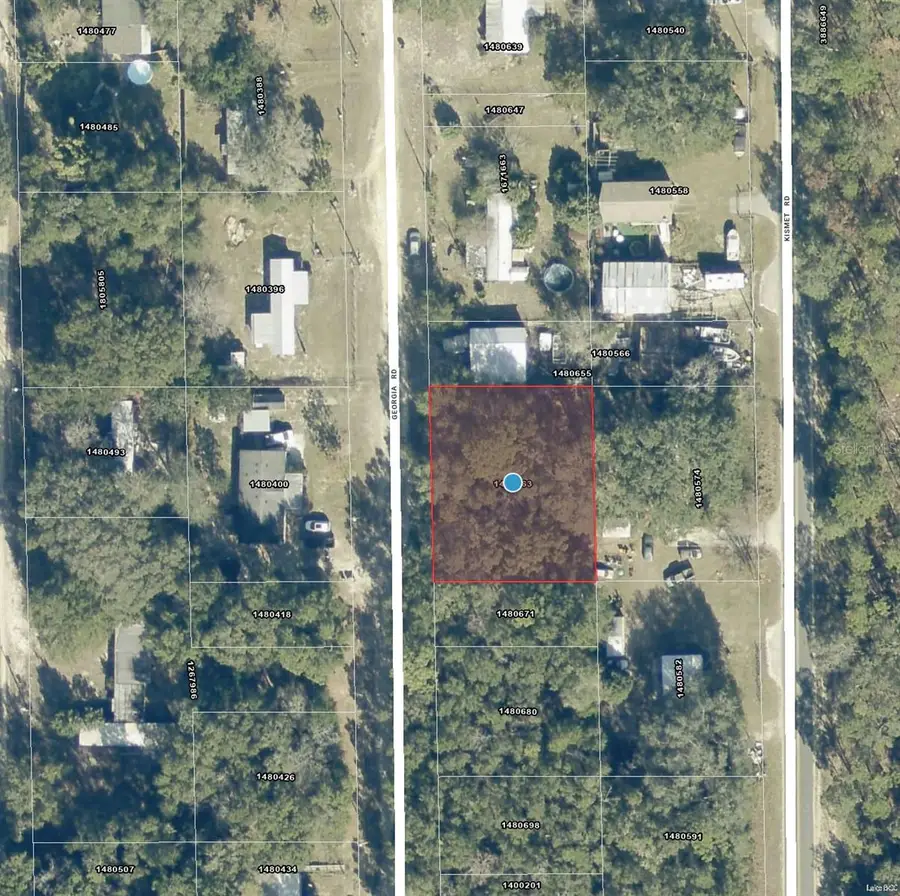 000 Georgia Road, Altoona, FL 32702 - #3