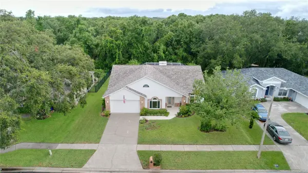 7406 Mint Julep Drive, RIVERVIEW, FL 33578