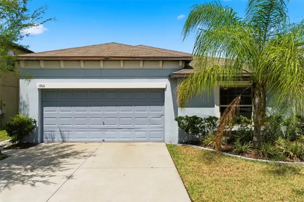 12611 Lemon Pepper Drive, RIVERVIEW, FL 33578