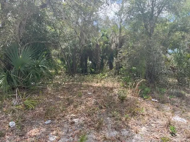 Scottish Terrace, North Port, FL 34288 - #1