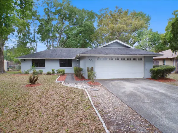 1123 Foggy Ridge Parkway, LUTZ, FL 33559