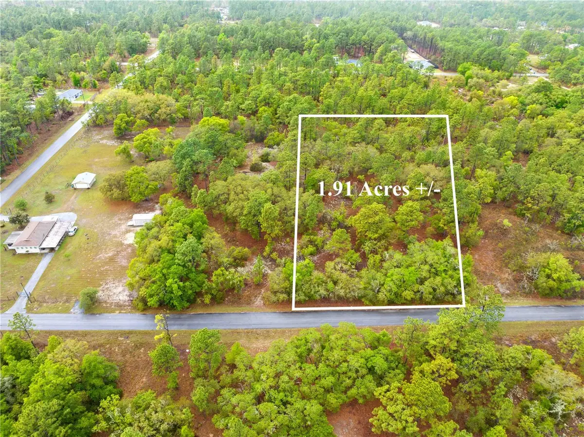 SW 206th Avenue, Dunnellon, FL 34431 - #1