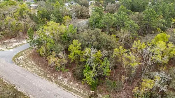 1877 W Pendleton Street, DUNNELLON, FL 34434