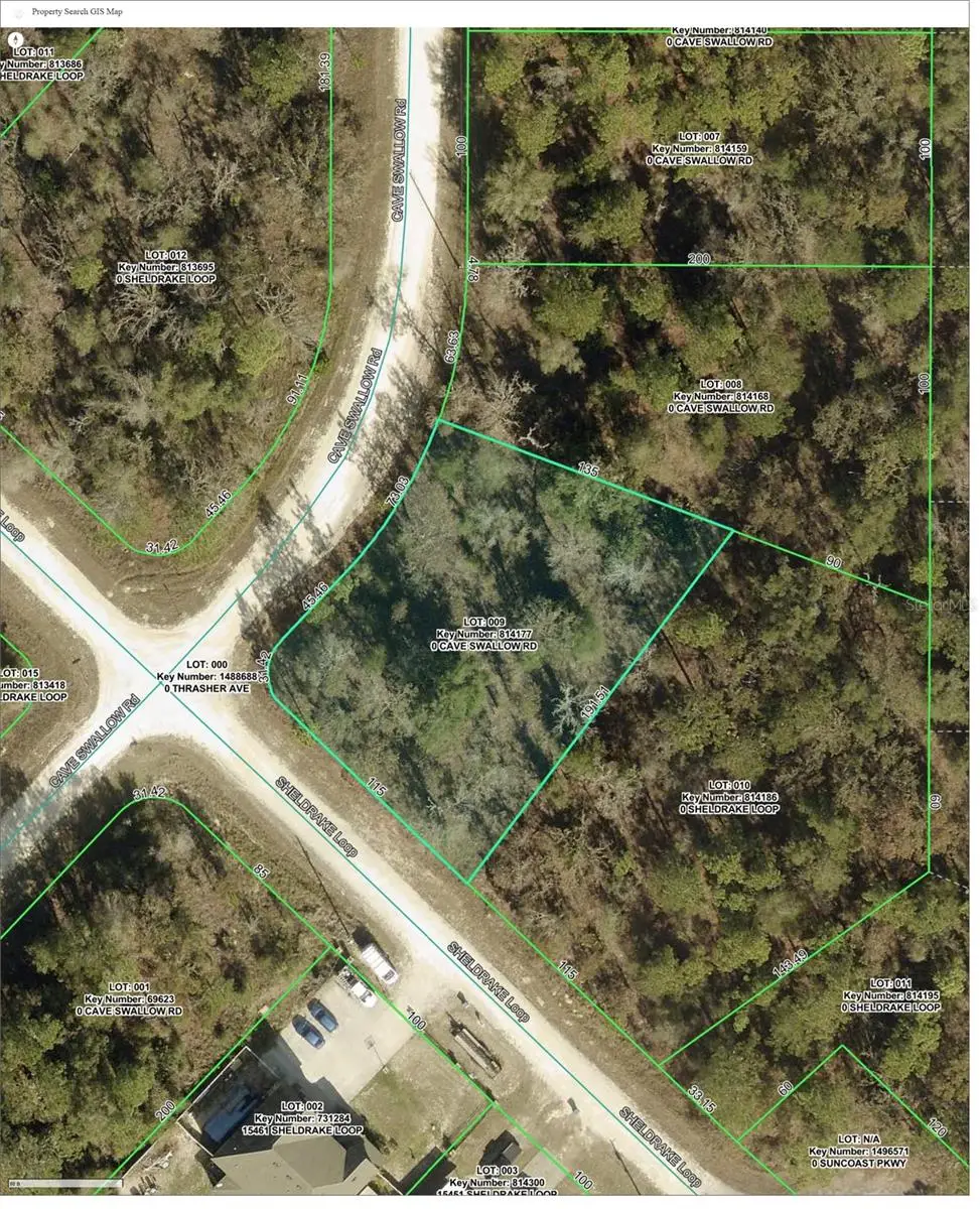 16008 Cave Swallow Road, Brooksville, FL 34614 - #1