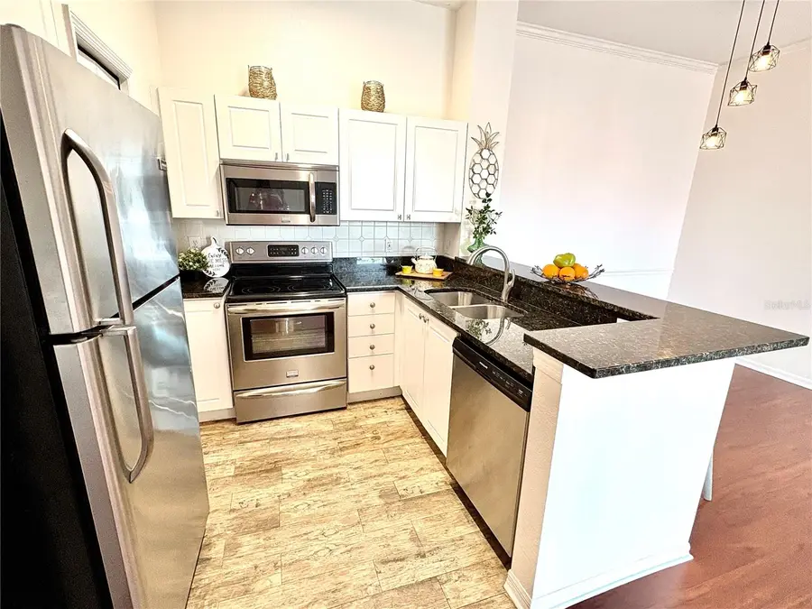 18107 Peregrines Perch Place #6303, Lutz, FL 33558 - #2