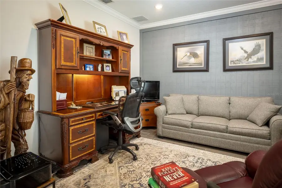 19267 Ship Wheel Way, Land O Lakes, FL 34638 - #3