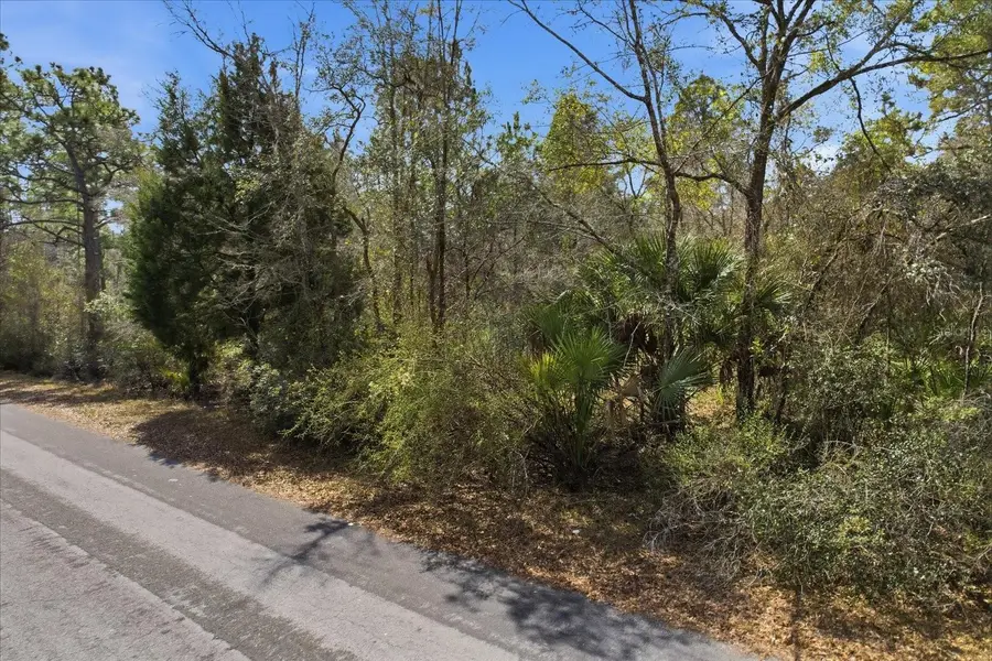 9568 N Dawnflower Avenue, Crystal River, FL 34428 - #2