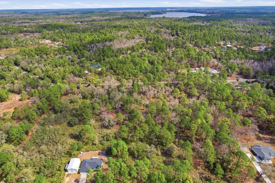 9568 N Dawnflower Avenue, Crystal River, FL 34428 - #3