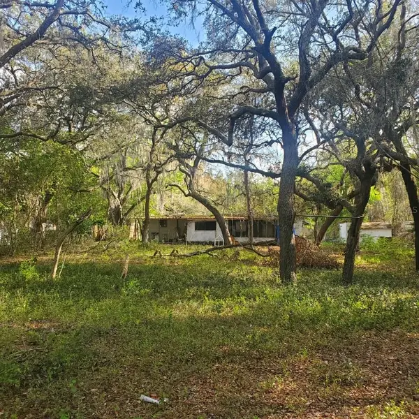 17461 SE 10th Street, SILVER SPRINGS, FL 34488