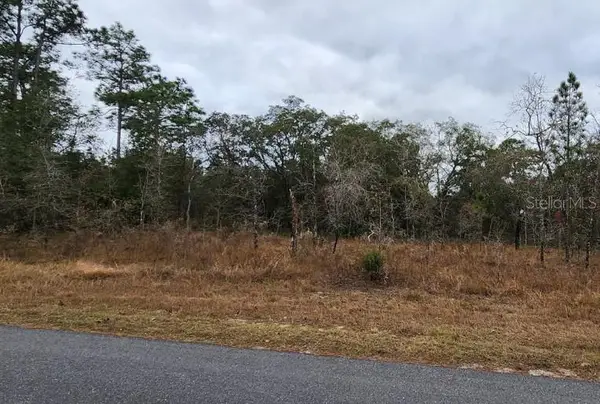 15057 Dusky Warbler Road, WEEKI WACHEE, FL 34614