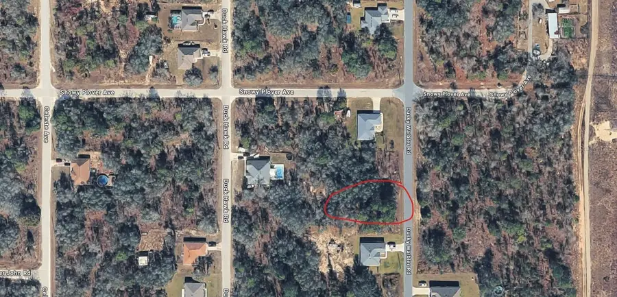 15037 Dusky Warbler Road, Weeki Wachee, FL 34614 - #2