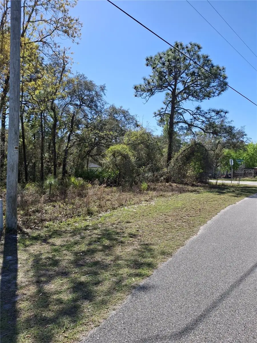 11500 Lomita Wren Road, Weeki Wachee, FL 34614 - #3