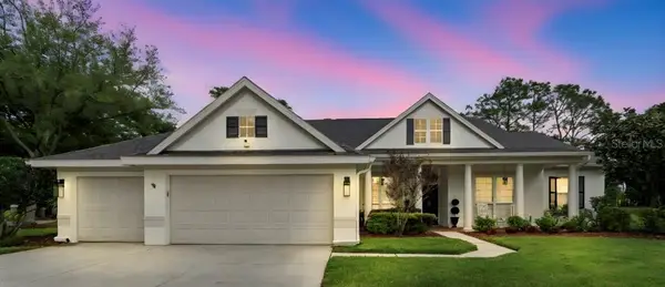 19127 Centre Rose Boulevard, LUTZ, FL 33558