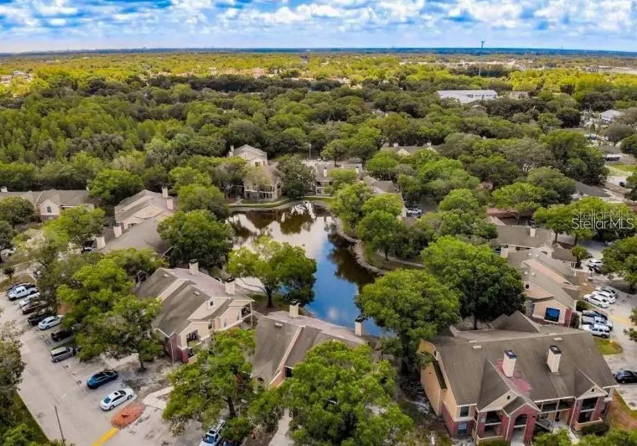 8641 Fancy Finch Drive #202, Tampa, FL 33614 - #1