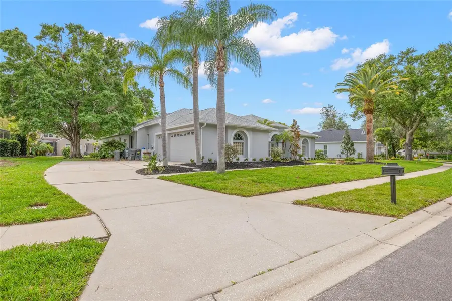 3692 Johnathon Avenue, Palm Harbor, FL 34685 - #3