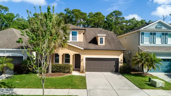 11604 Quiet Forest Drive, TAMPA, FL 33635
