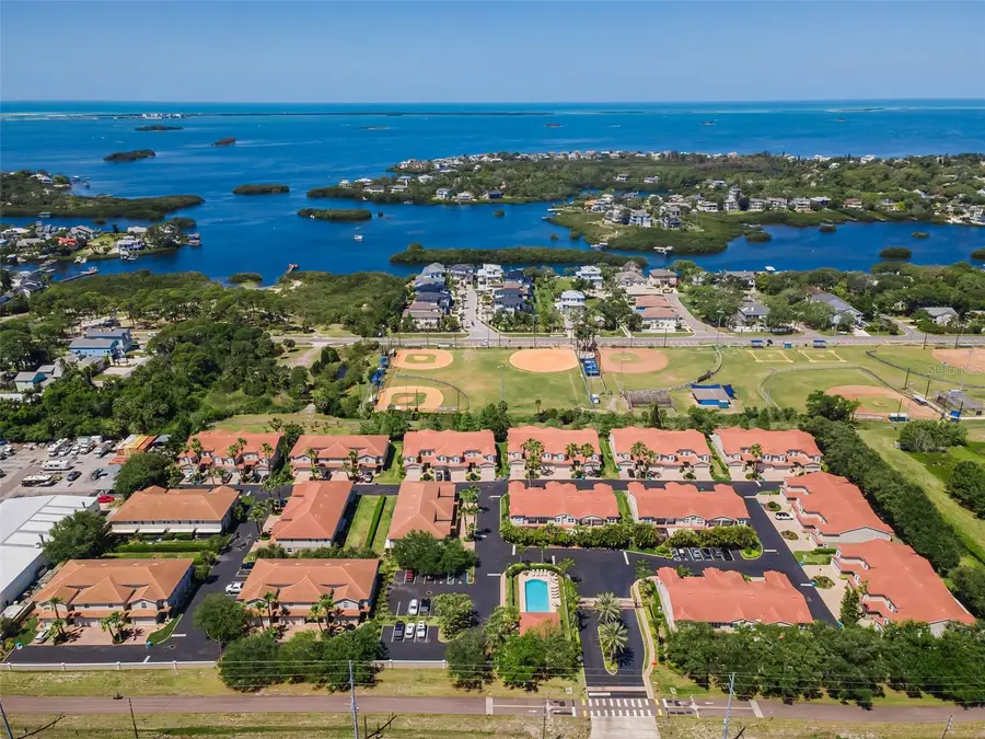 1411 Tessano Place, Palm Harbor, FL 34683 - #2