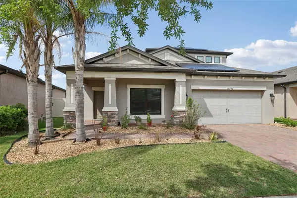 10740 Pleasant Knoll Drive, TAMPA, FL 33647