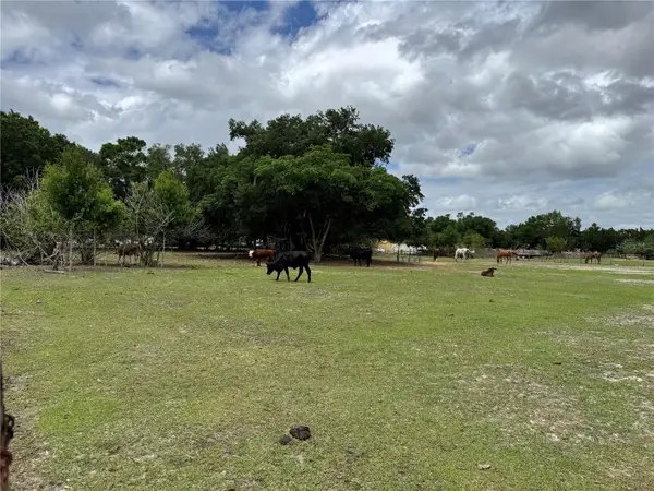 1804 Zipperer Road, BRADENTON, FL 34212