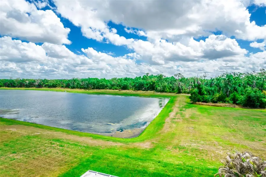 17132 White Mangrove Drive, Wimauma, FL 33598 - #2