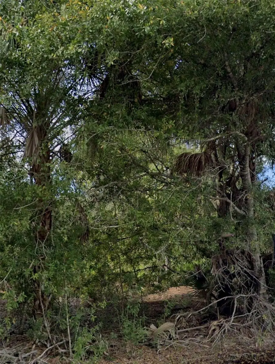 3439 Tiffiny Street, Punta Gorda, FL 33980 - #1