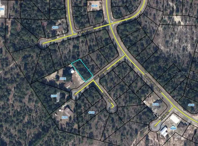 Shleby Ct, Chipley, FL 32428 - #2