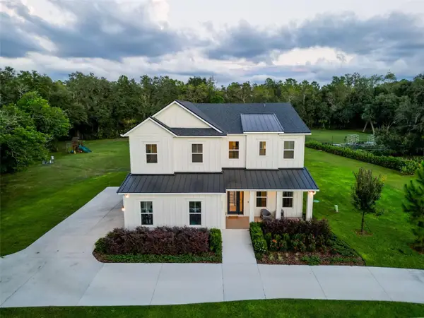 2890 Alexandria Marie Lane, LUTZ, FL 33559