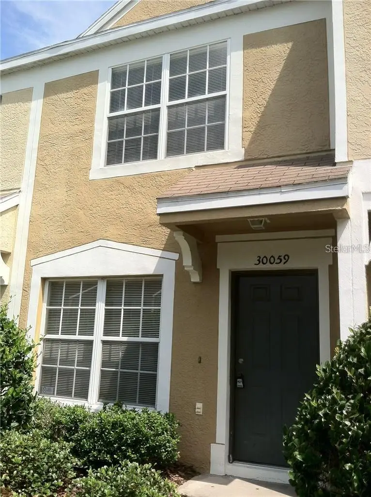 30059 Granda Hills Court, Wesley Chapel, FL 33543 - #1