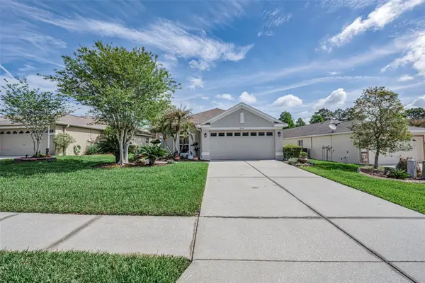 3054 Banyan Hill Lane, LAND O LAKES, FL 34639
