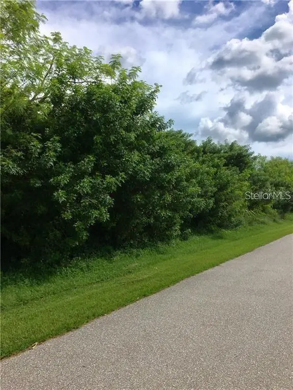 12739 Bacchus Road, Port Charlotte, FL 33981 - #2